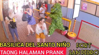 TAONG HALAMAN PRANK: BASILICA DEL SANTO NIÑO & FORT SAN PEDRO with TOURIST". 😁🥰