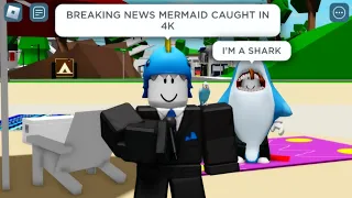 ROBLOX Brookhaven 🏡RP - FUNNY MOMENTS (NEWS REPORTERS)