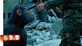 Apes Movie Explained In Hindi & Urdu