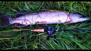 Baitcasting ЩУКА 5.2 КГ. Shimano Casitas CRAZY FISH NIMBLE