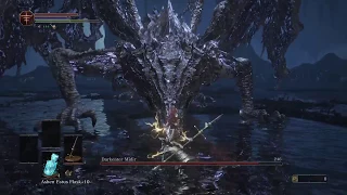 Dragon Slayer Ornstein vs Darkeater Midir NG+7 (NO DAMAGE - SL125)