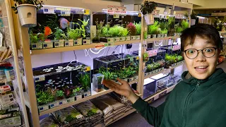 This Tokyo Fish Store Sells Cool Fish & Plants! AQUA FOREST + Full Tour