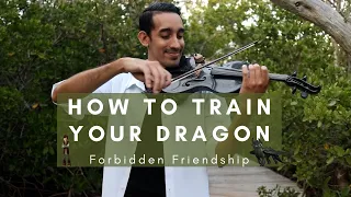 HTTYD - Forbidden Friendship | Violin Cover