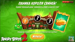 King Pig Panic/Паника короля свиней! 06/09/2021 Angry Birds 2.