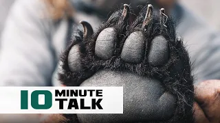 #10MinuteTalk - Finding Spring Bears with Ryan Lampers