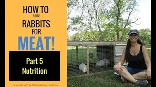 How to Raise Rabbits for Meat: Part 5 Rabbit Nutrition