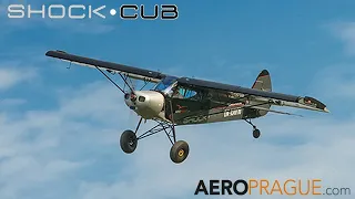 Bush Flying - Savage Shock Cub