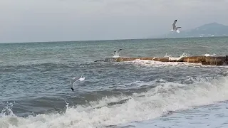 Море волнуется.Желающих искупаться нет.Адлер 19 октября 2021 г.