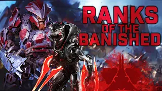 Ranks of the Banished – Every Known Banished Rank | Halo: Rubicon Protocol Primer