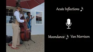 "Moondance" - Van Morrison (Cover) || Acute Inflections