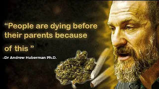 Neuroscientist Explains The Effects Of Marijuana On The Human Body!