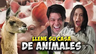 Lleno su casa de animales de granja | Yeferson Cossio