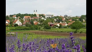 Szentmise Tihanyból 2023. június 25-én, az évközi idő XII. vasárnapján 10 órától