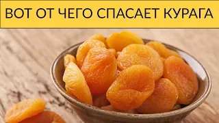 ПОЛЬЗА КУРАГИ