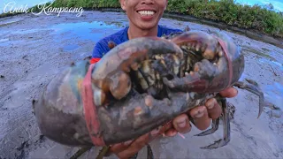 Traditional Fishermen Hunt for Big Crabs in the Wild