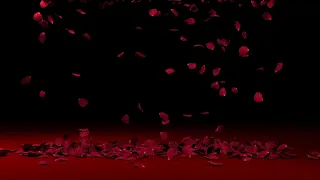 ROSE PETAL Falling Rose background (3DMAX)