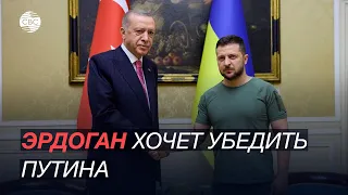 Новая помощь от Анкары Киеву? Встреча Зеленского и Эрдогана