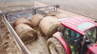 Large Hay Feeder - Eden Shale Farm