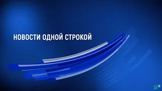 "Новости одной строкой": финал конкурса "Учитель года", гости пушкинского парка и "Уроки цифры"