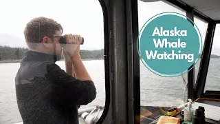 Whale Watching Wildlife Quest, Juneau, Alaska - Princess Cruises