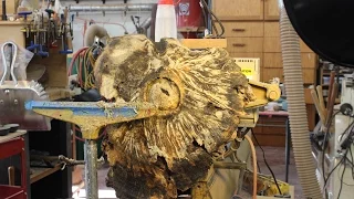 Stabilizing a Large Burl:  woodturning with Sam angelo