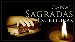 Evangelho, Leitura e Salmos do dia 16 de Setembro de 2019