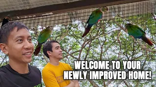 Moving Our Parrots to Their New Outdoor Aviary | Vlog #1694