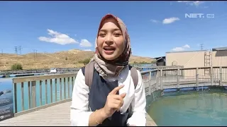 Pejuang Dakwah di Negeri Indah Auckland, Selandia Baru - Muslim Travelers 2019