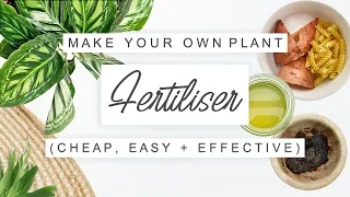 Amazing DIY Plant Fertilizer Recipes 🌱 Zero Waste, Natural Plant Fertiliser EASY To Make At Home 🌿