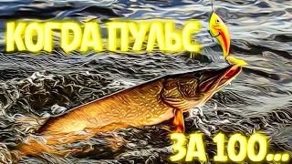 Необычные случаи на рыбалке/Зимняя рыбалка/Приколы на рыбалке 2022/Шок рыбалка/ВЕСЁЛАЯ РЫБАЛКА/