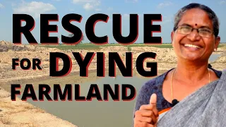 India's Water Revolution #5: Permaculture Rescue for Dying Farmland