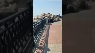 Nature creates rockslide at harbour…