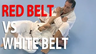 White belt challenges Grandmaster Relson Gracie