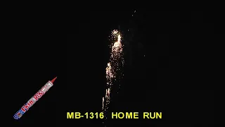 Home Run RC1316