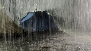 Wonderful Deep Sleep on Rainy Night | Heavy Pouring Rain on Tent & Loud Thunder Sounds | White Noise