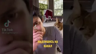 РЫСЬ ДЕРЁТСЯ С ХОЗЯИНОМ