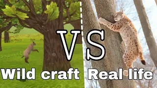 Wild craft VS Real life (by Olivka)