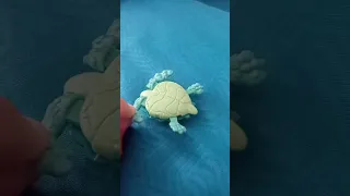 creo que esa tortuga esta muerta