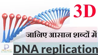 DNA replication in hindi/डीएनए द्विगुणन /डी एन ए प्रतिकृति/ डी एन ए रिप्लिकेशन , molecular structure