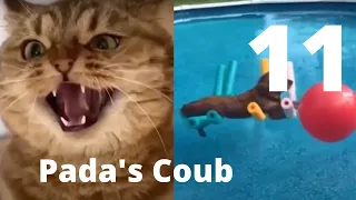 💌Best Coub Приколы V11 - BEST CUBE PADA'S COUB Part 11 - 🌊Memes Cube Compilation