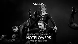 Volga Champ 17 | Best Ladies Show Pro | Wide view | Notflowers