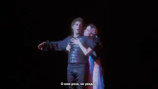 Mozart L'Opera Rock [1080 HD] – Rus Subs | Моцарт. Рок-опера – рус. субтитры