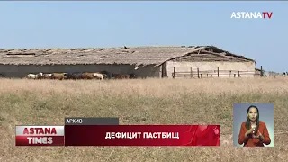 В Казахстане не хватает 32 млн гектаров пастбищ