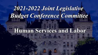 NYS Legislature Joint Budget Subcommittee on Human Services/ Labor - 03/17/21