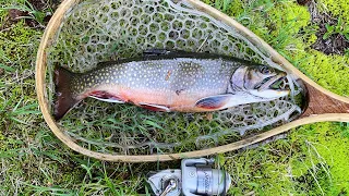 Chasing Summertime BROOK TROUT at High Alpine Lakes!! (Catch & Cook) feat.@BackyardBoyTV