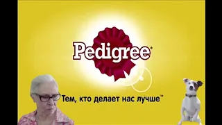 Правильная реклама Pedigree | Rytp