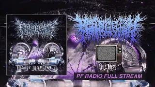 PEELINGFLESH - PF RADIO [OFFICIAL EP STREAM] (2023) SW EXCLUSIVE