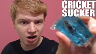 Cricket Sucker (Blueberry) Challenge | Louis Mitchell