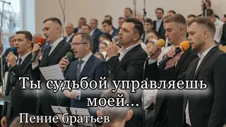 Ты судьбой управляешь моей, оттого мне легко и спокойно | пение братьев