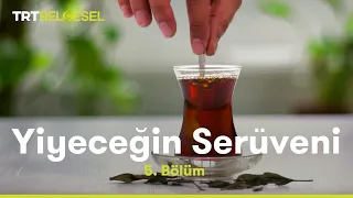 Yiyeceğin Serüveni | Çay | TRT Belgesel